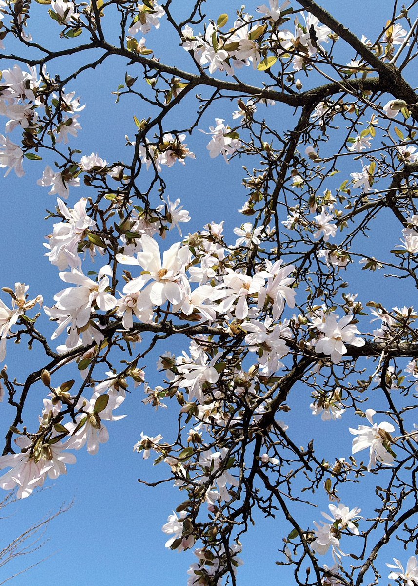 pum 【個展4/30〜5/10】 tweet media