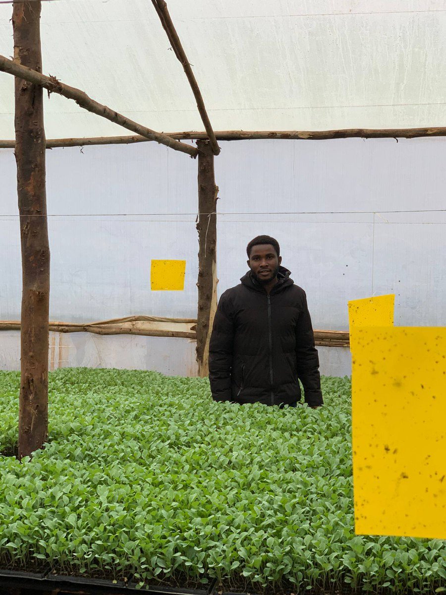 SusanAMangeni's tweet photo. We celebrate Caleb Kiprotich, a @NYOTA_Kenya  entrepreneur from Kericho County, who is turning opportunity into impact through seedling propagation.

Caleb invested the initial NYOTA business start-up grant of Ksh. 22,000, and successfully expanded his greenhouse and currently propagates over 120,000 seedlings.

Hongera Caleb! Your success is inspiring more young entrepreneurs to see agriculture as a viable and profitable pathway.

@MSEA_Kenya @DrRonohpaul #MSMEKenya
