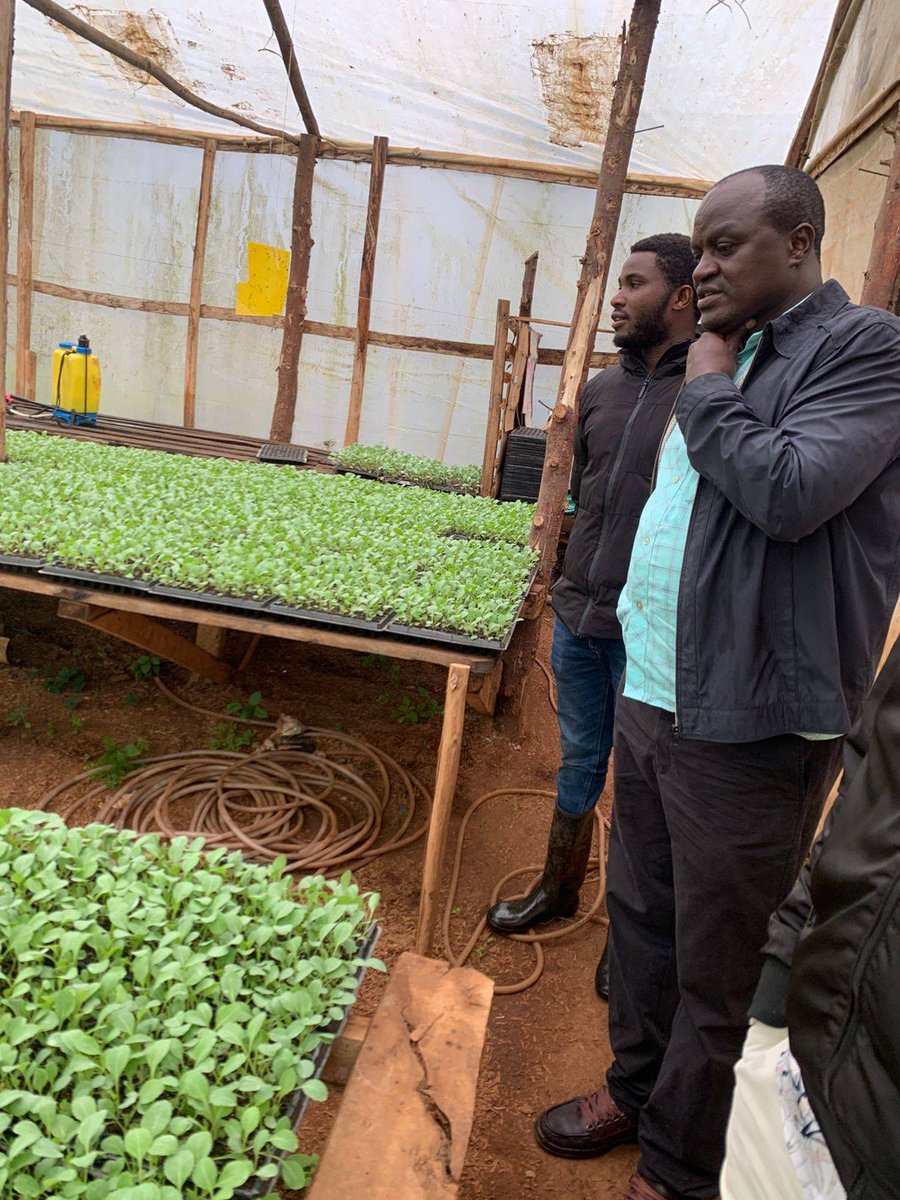 SusanAMangeni's tweet photo. We celebrate Caleb Kiprotich, a @NYOTA_Kenya  entrepreneur from Kericho County, who is turning opportunity into impact through seedling propagation.

Caleb invested the initial NYOTA business start-up grant of Ksh. 22,000, and successfully expanded his greenhouse and currently propagates over 120,000 seedlings.

Hongera Caleb! Your success is inspiring more young entrepreneurs to see agriculture as a viable and profitable pathway.

@MSEA_Kenya @DrRonohpaul #MSMEKenya