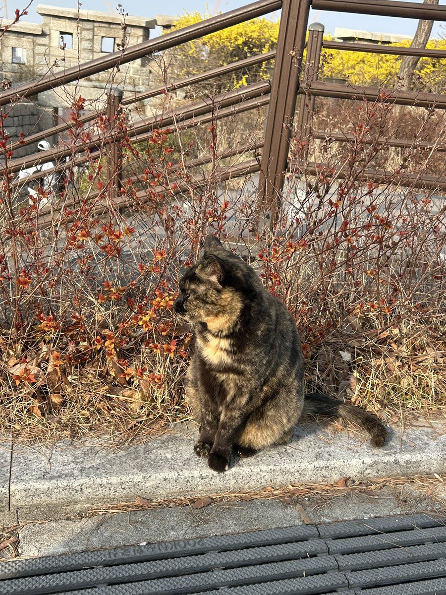 레렝/れれん tweet media