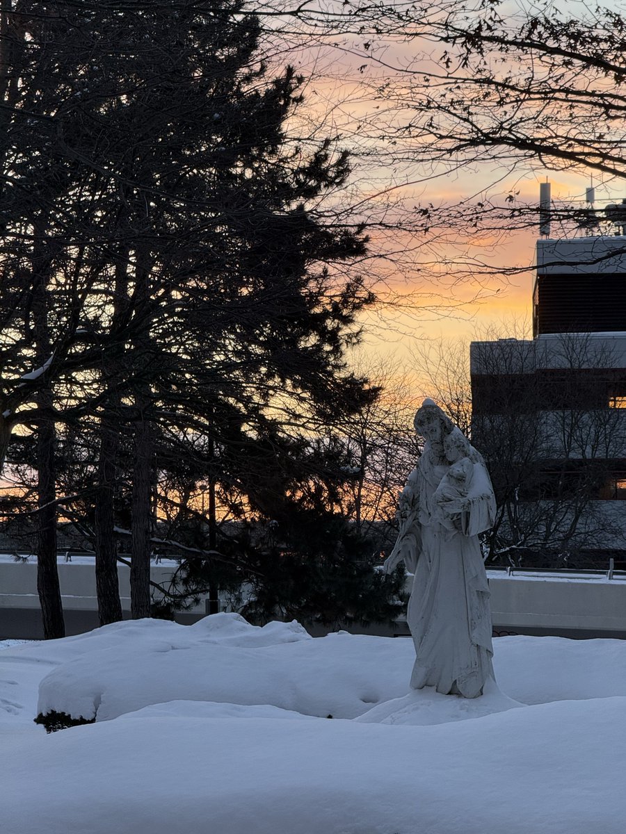 Climate Observer tweet media