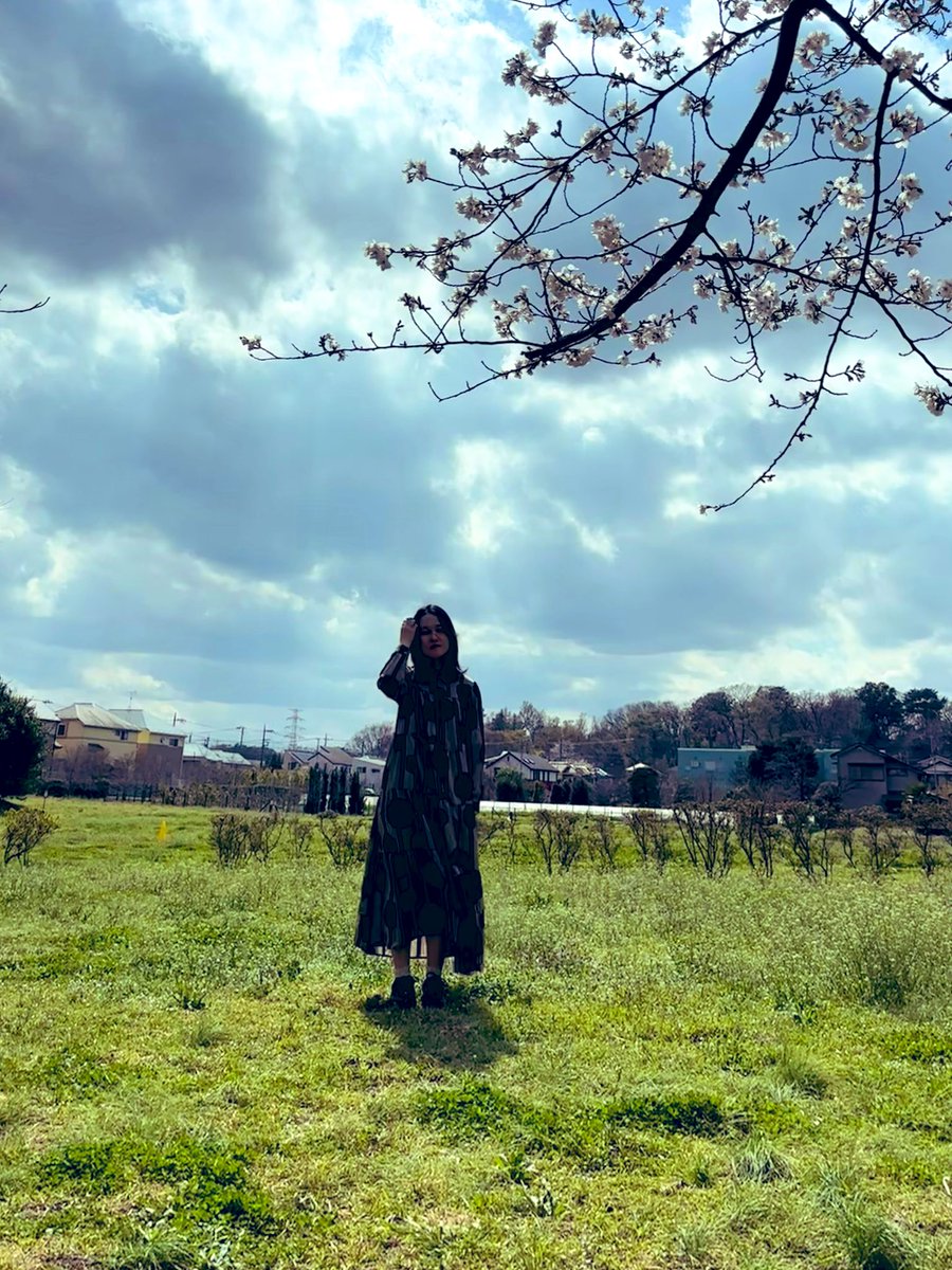 団地ノ宮琴子/左脳溶子 tweet media