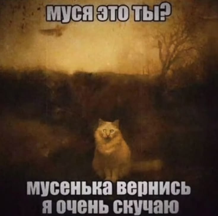 Спихопат с электрогитарой🐍 tweet media