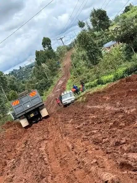 Postpartum Hemorrhage Project tweet media