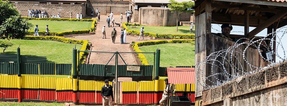 Timothy Turunga tweet media