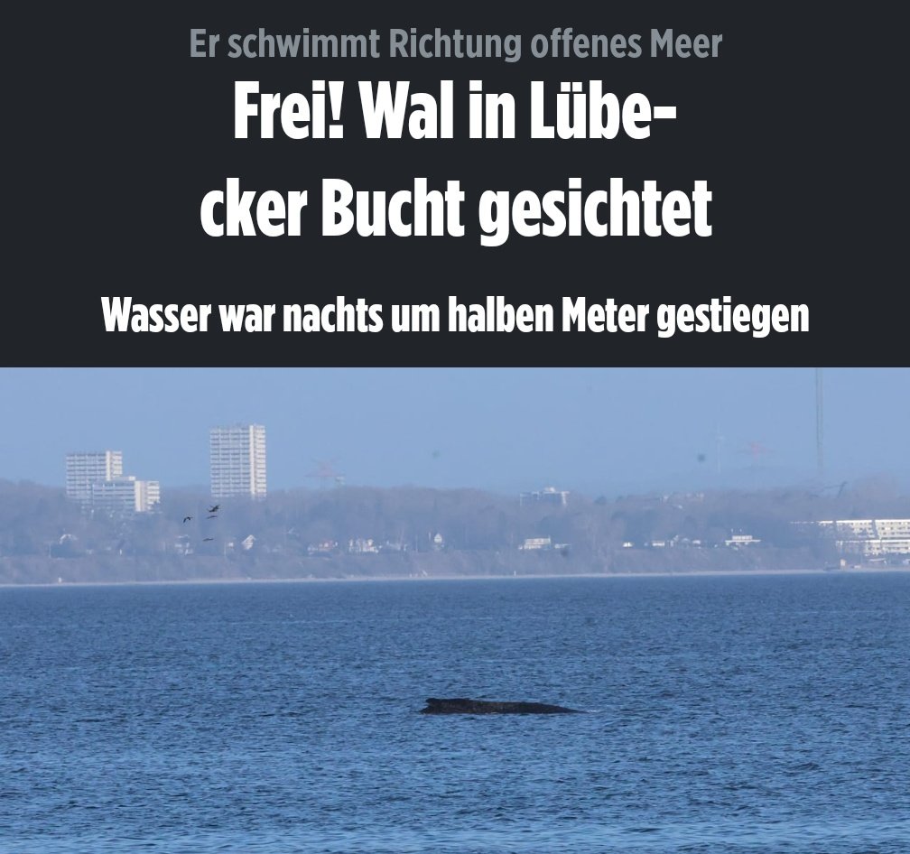 Siegvarg tweet media