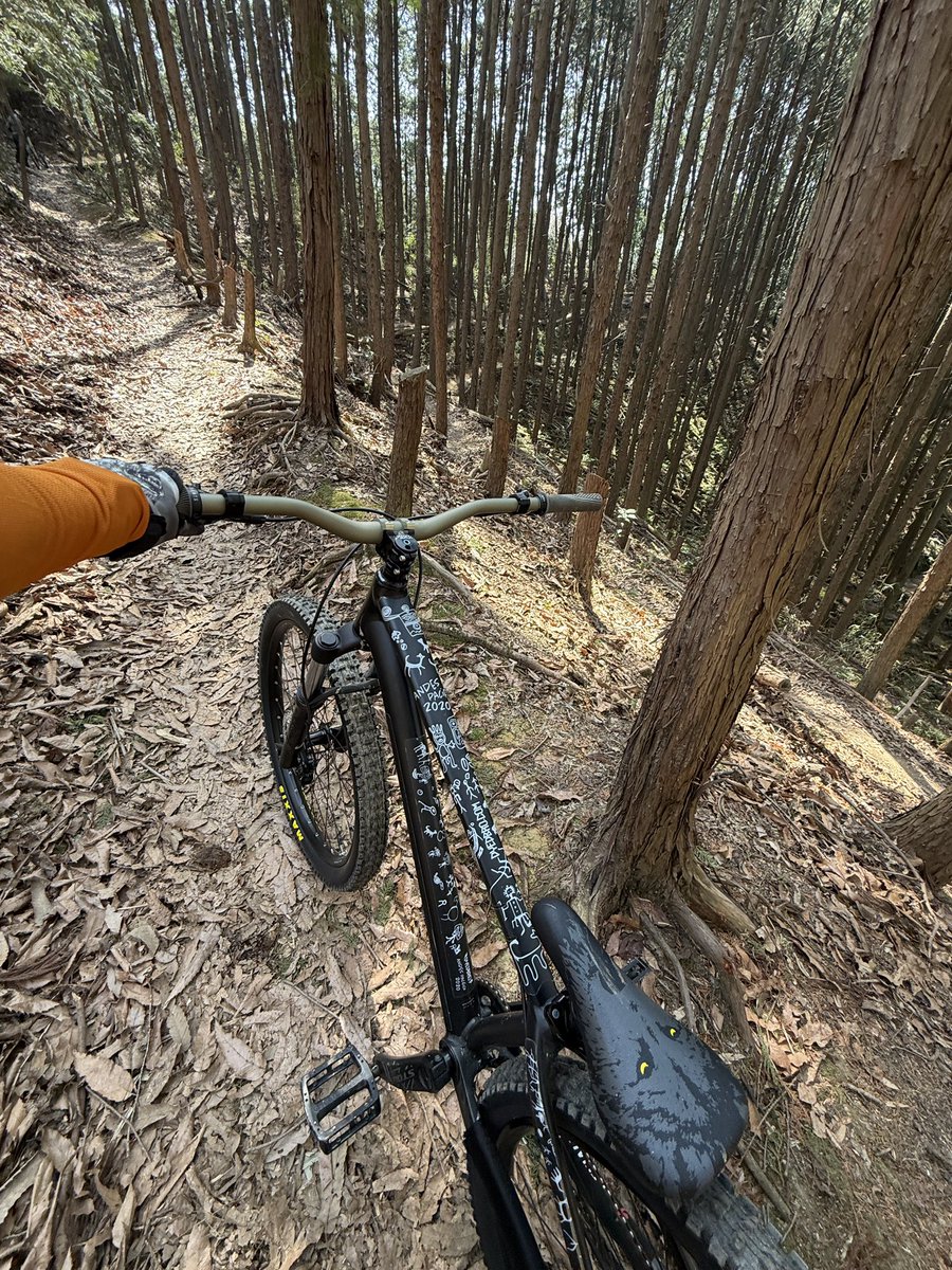 junp 𝕏 tweet media