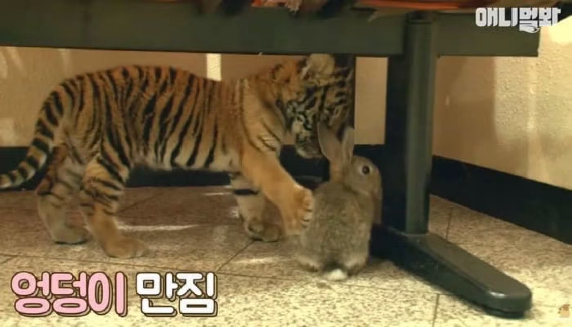 🏃🏻‍♂️ tweet media