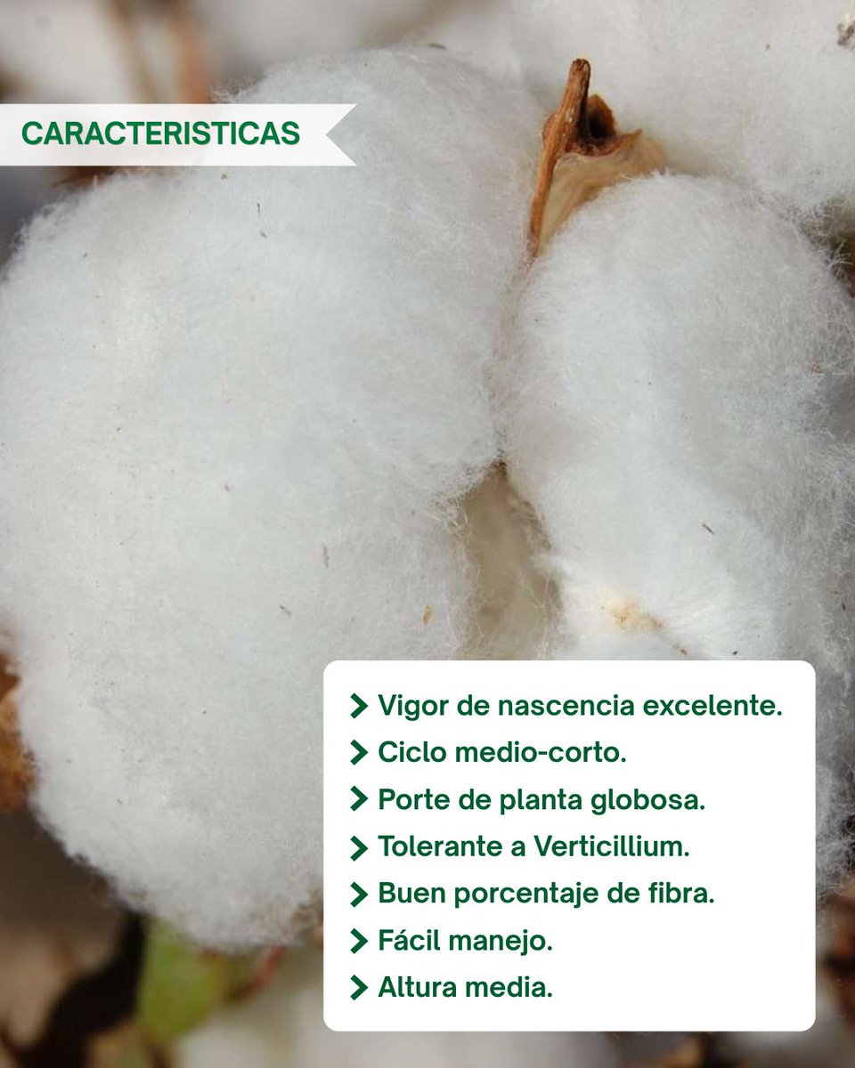 Guadalsem tweet media