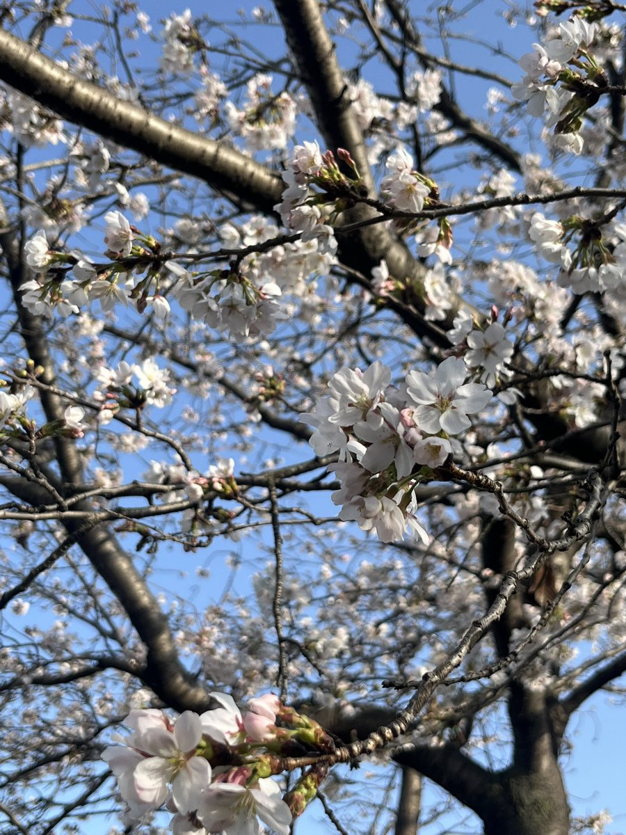 🐰ゆぅ🐸/chihiro tweet media