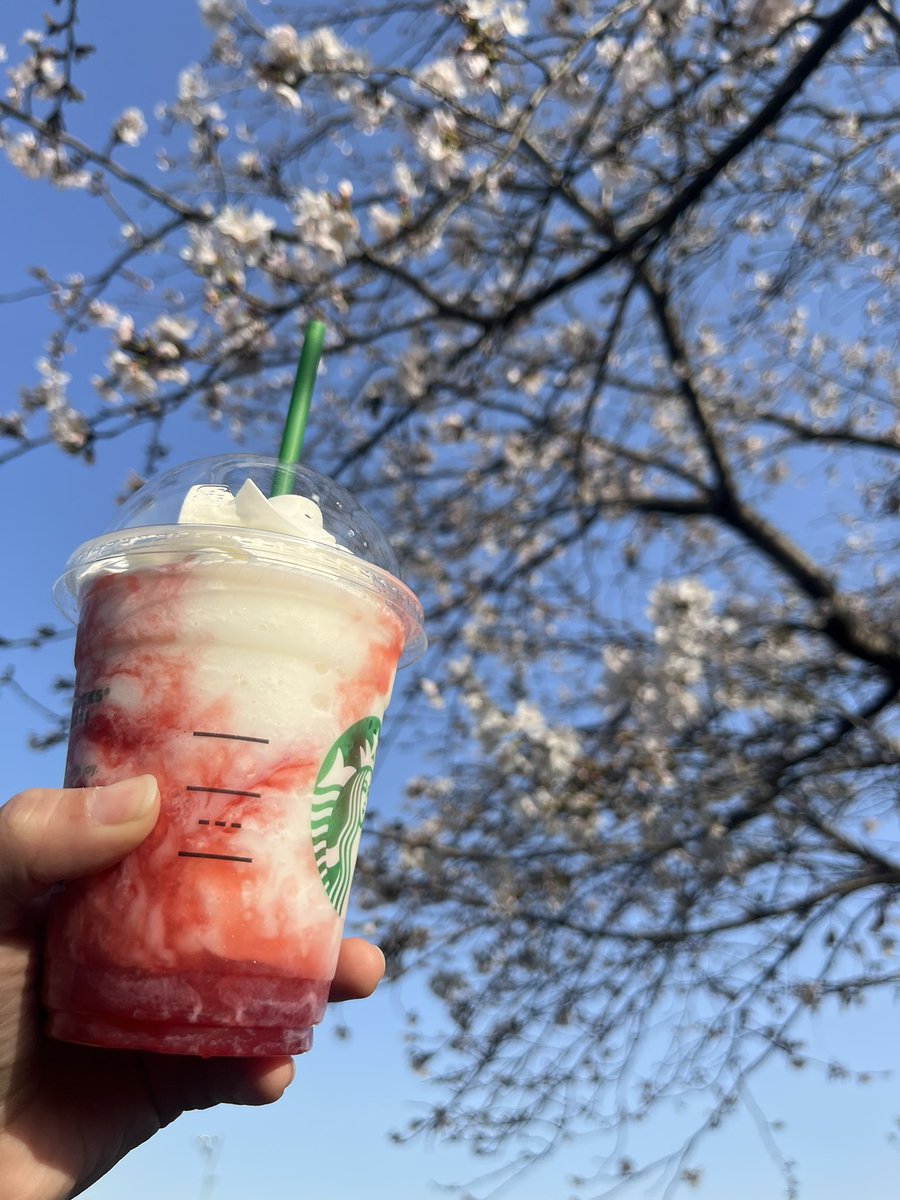 🐰ゆぅ🐸/chihiro tweet media