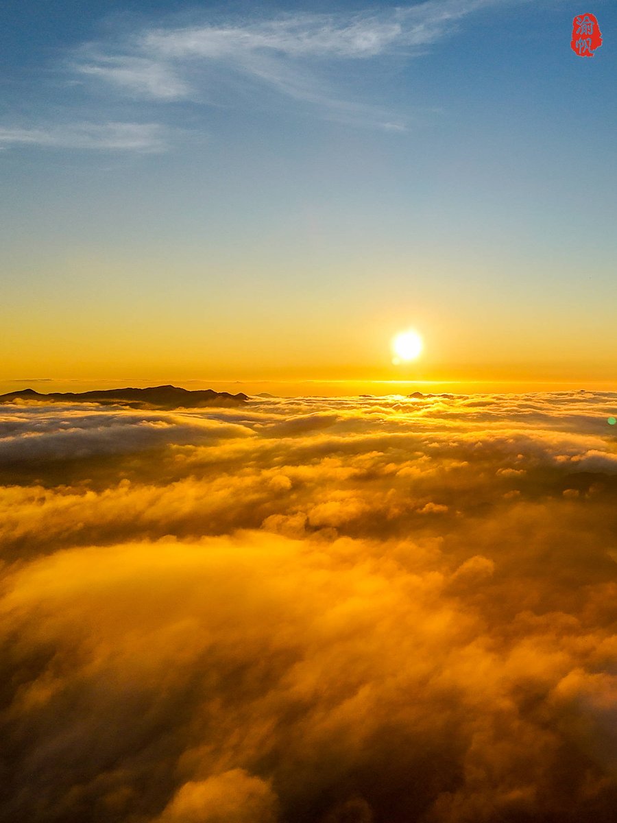 suresh yadlapalli tweet media