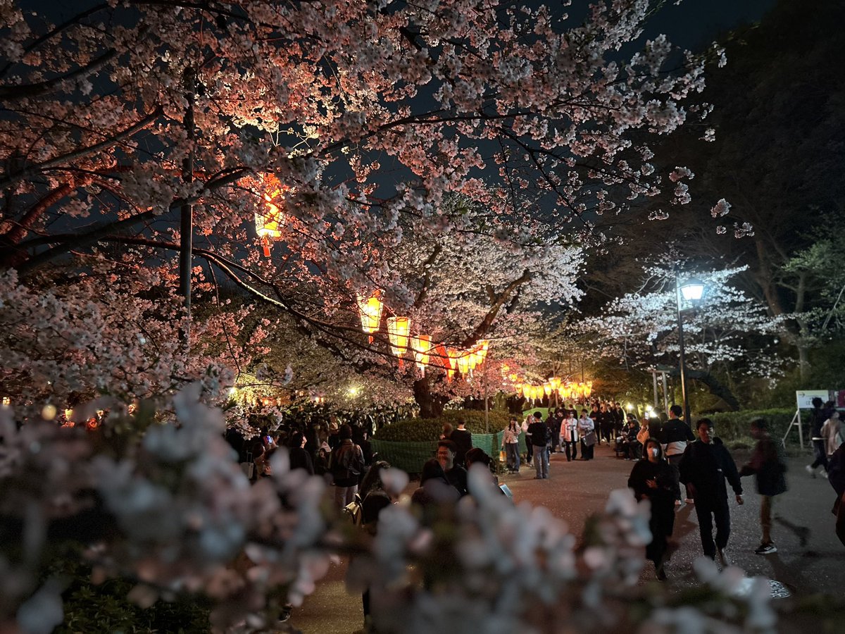 上野観光連盟 tweet media