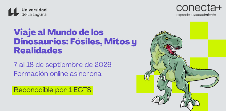 Penélope tweet media