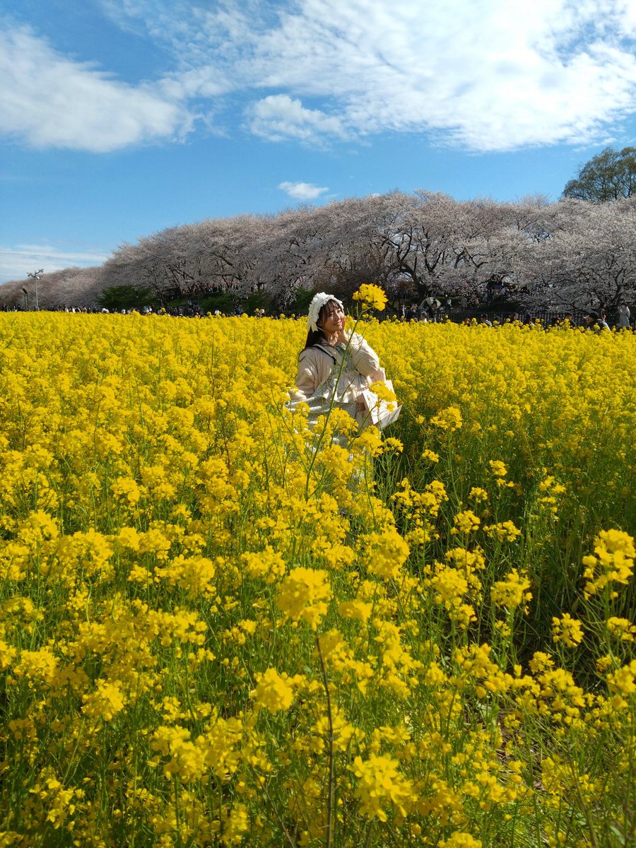 神村風子🧸🍀 tweet media