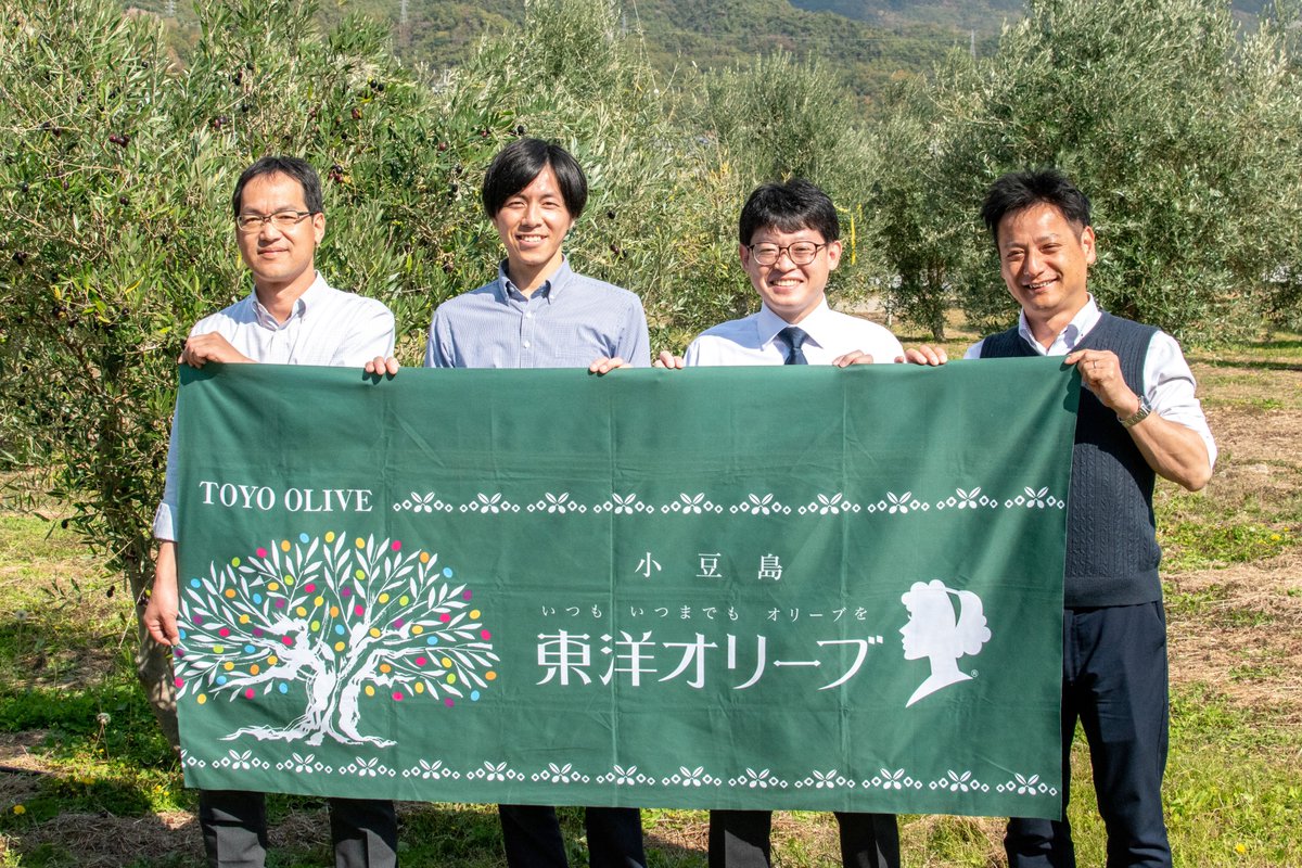 東洋オリーブ tweet media