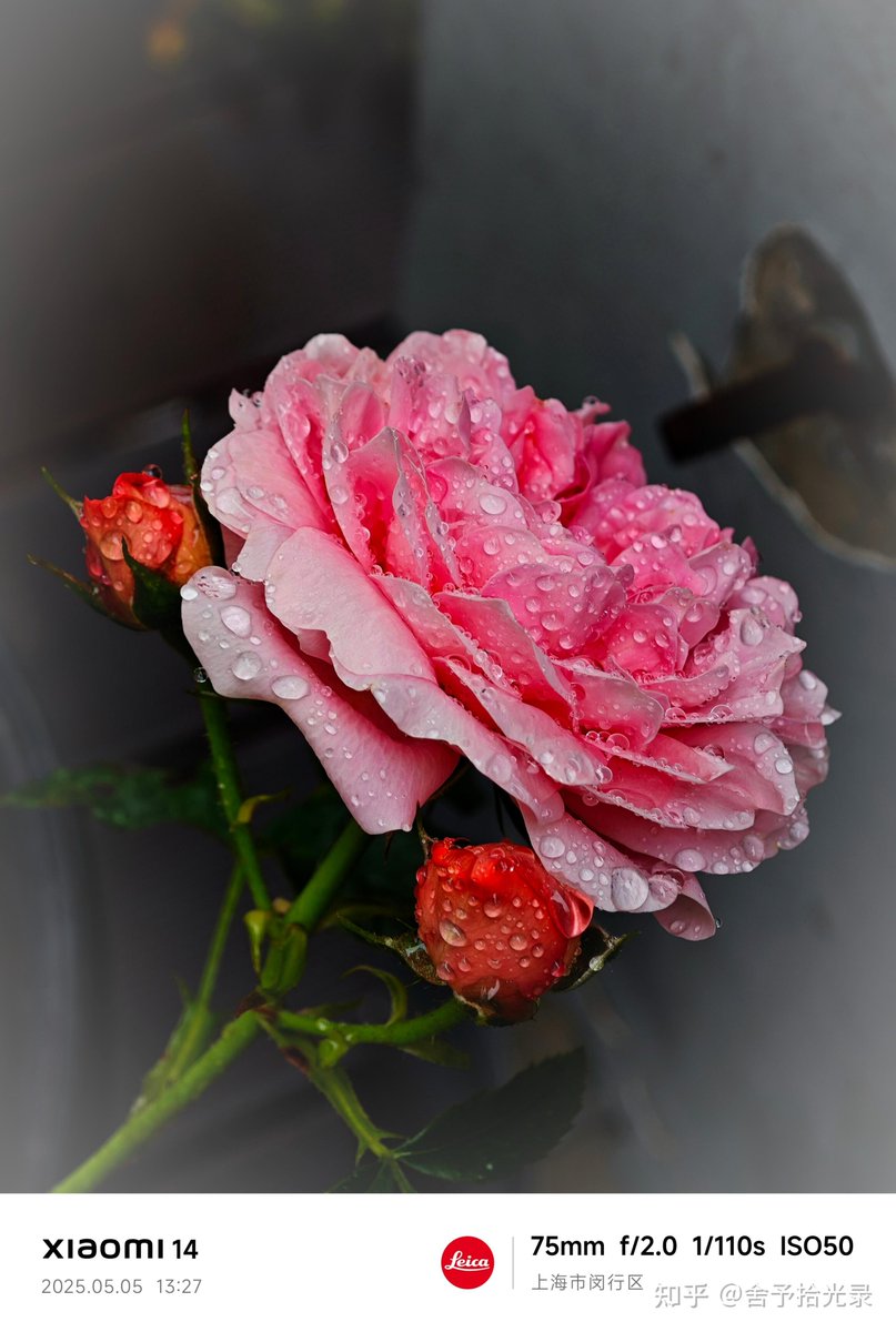 Tim Burns tweet media