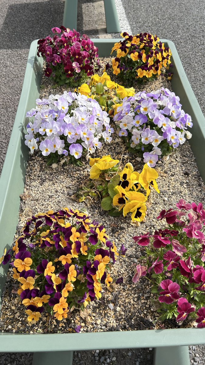 えりちょ🐷💕 tweet media