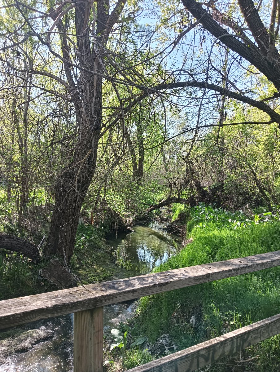 A.V. Fuente Cisneros tweet media