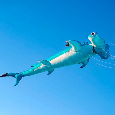 Kite Plan Base tweet media