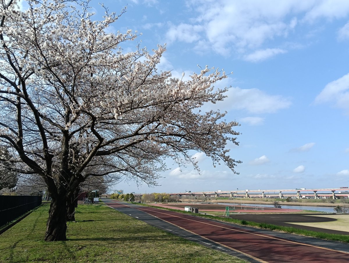 ぱっく tweet media