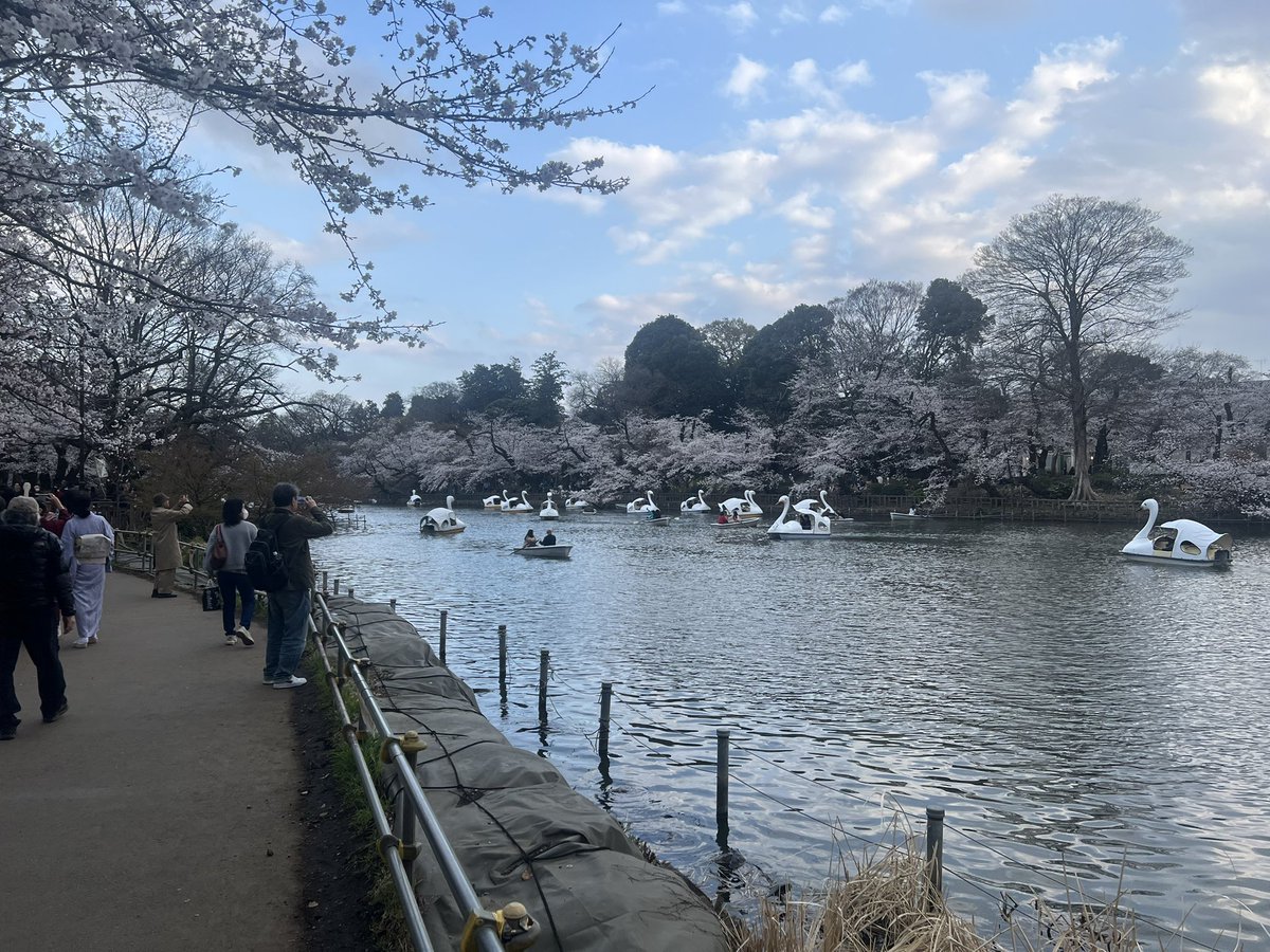 しばめろ👼🏻🍼 tweet media