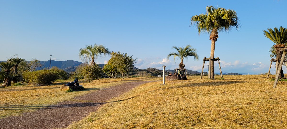 nika | LOM BABY (@nikalombaby) on Twitter photo 