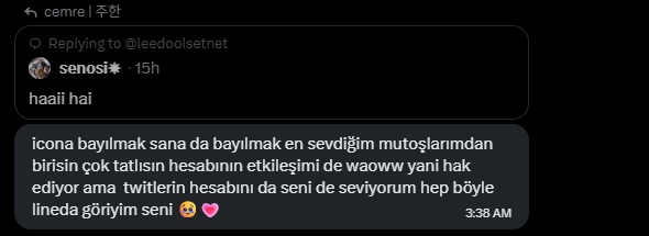 cemre | 주한 tweet media