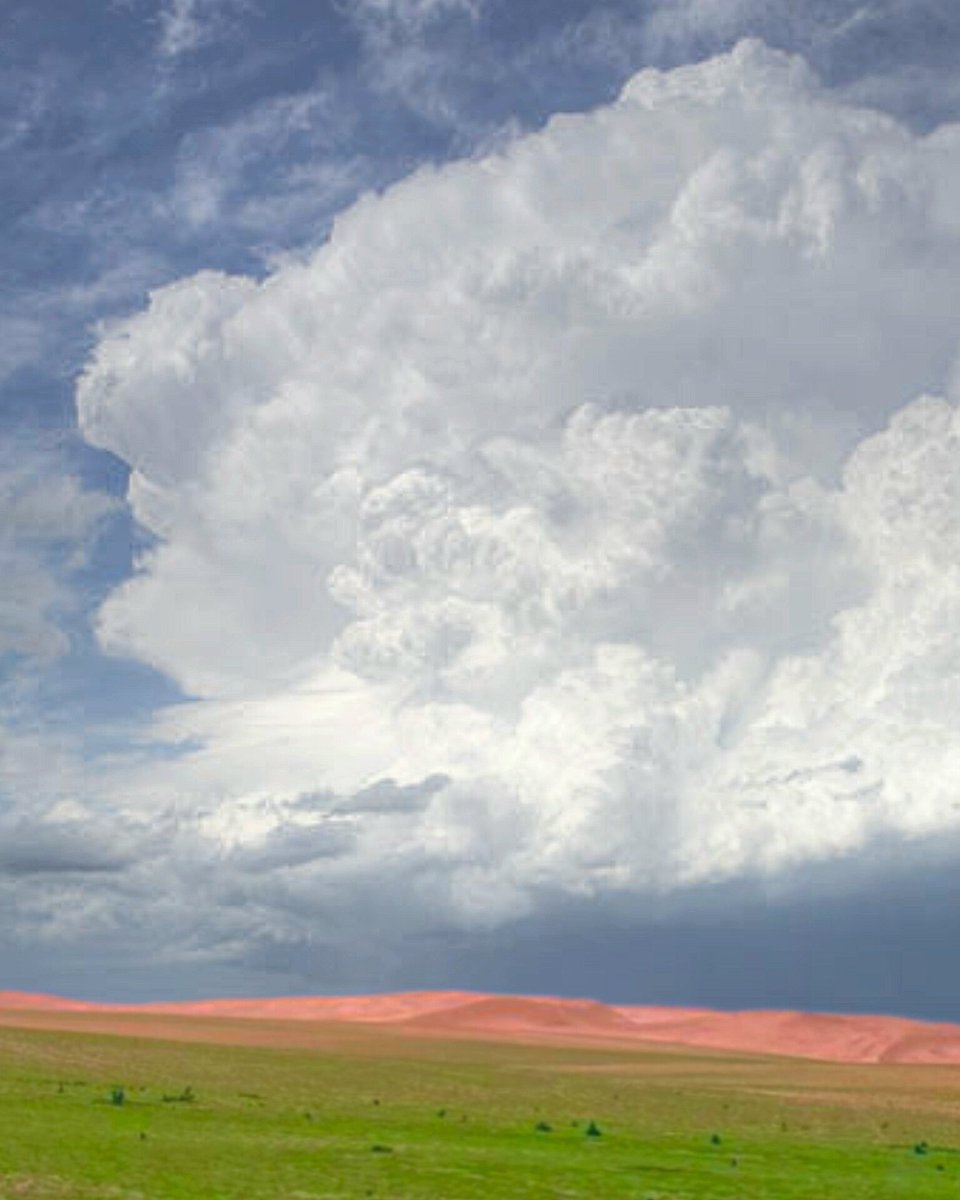 البرق⚡️ tweet media