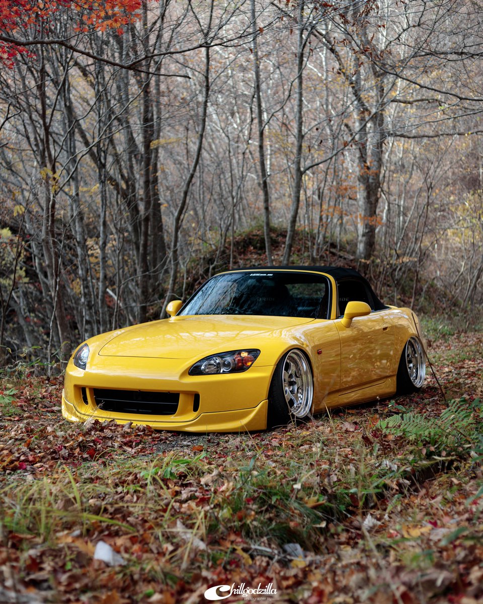 Yushi-Matsui tweet media