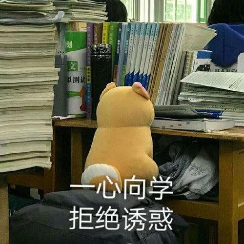 Steffen ™ tweet media