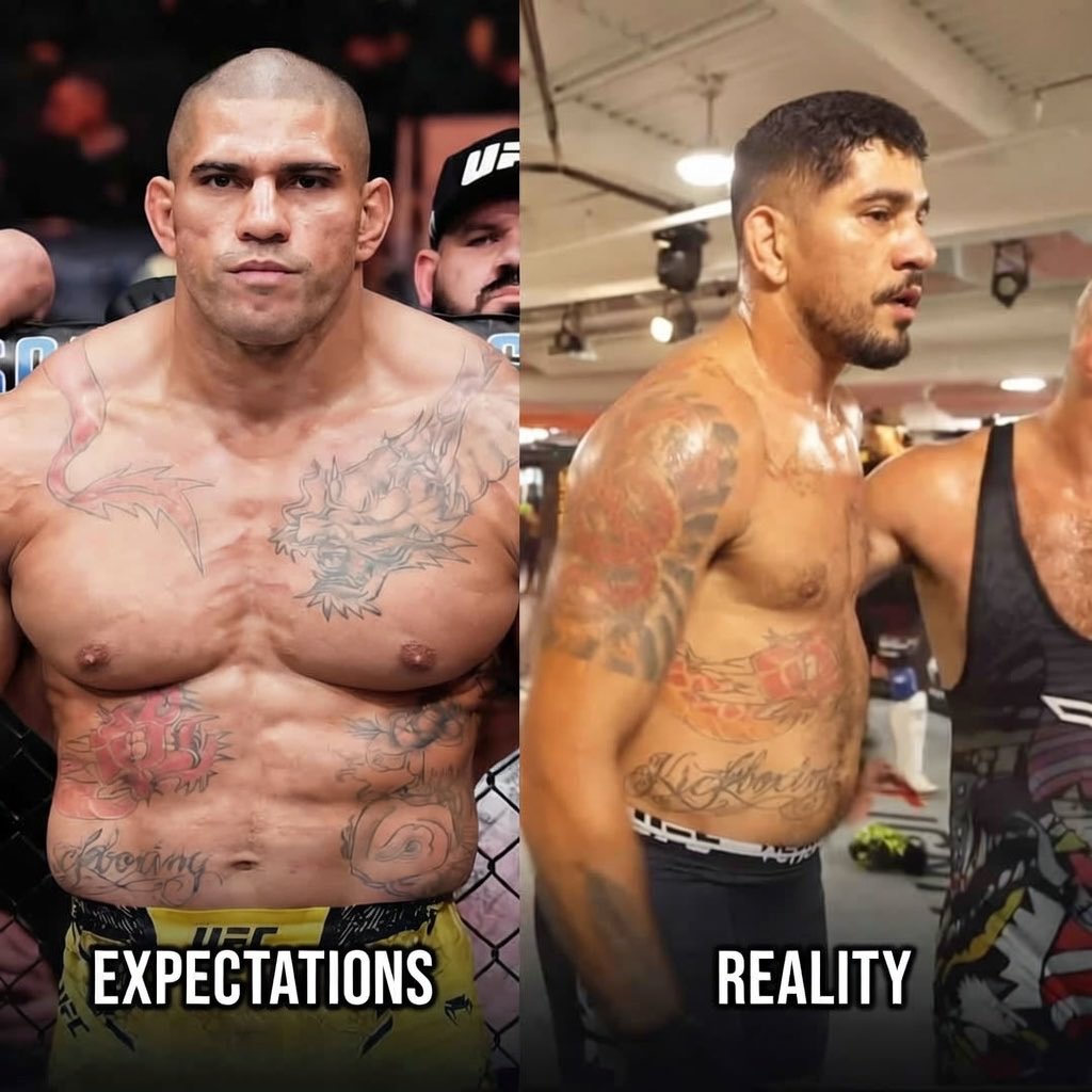 MrTestoestrogen tweet media