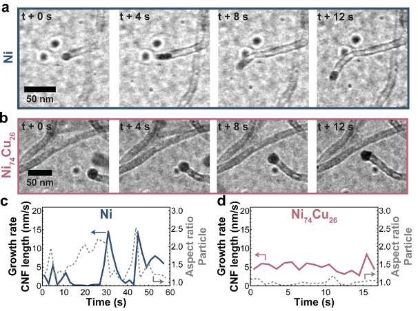 Protochips tweet media
