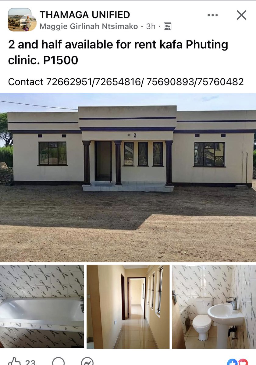 TravelBug🐞 tweet media