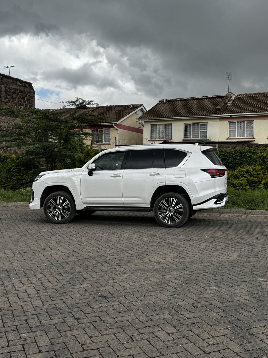 mikemanani_ tweet media