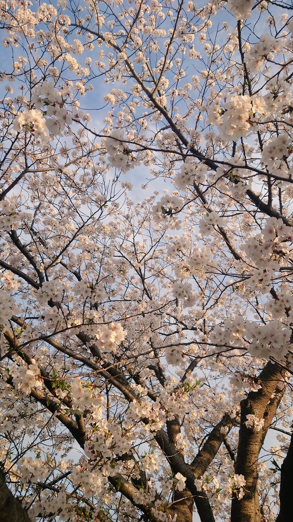 【一味違う】Deon🍸 tweet media