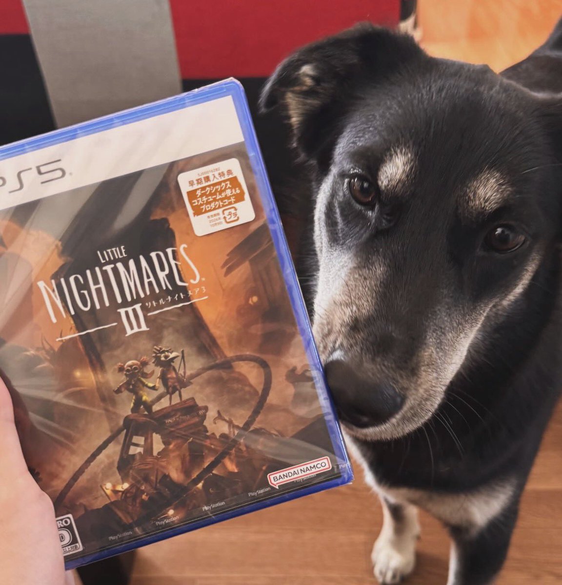 Lili ᶻ 𝗓 𐰁 .ᐟ tweet media