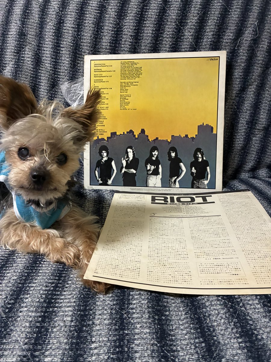 Ken.meta.ray tweet media