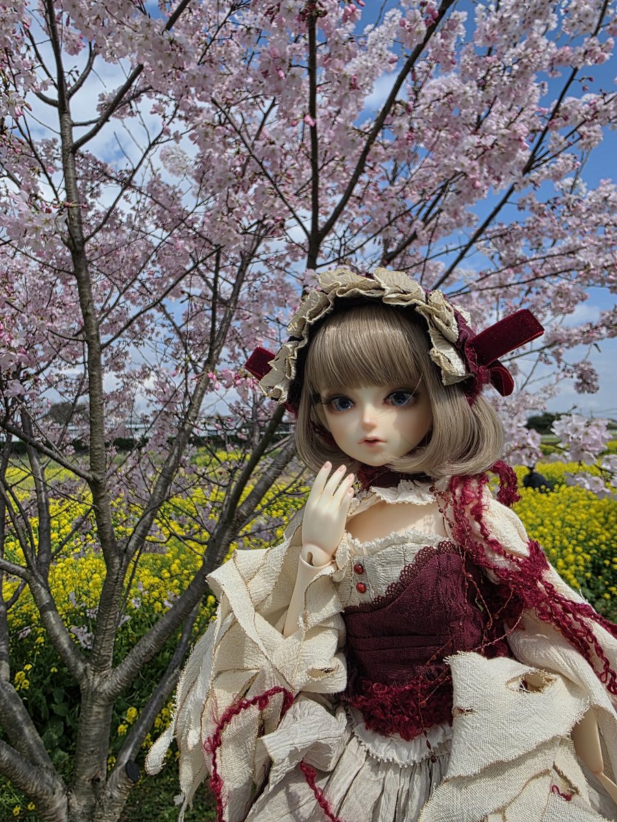 miguel_ga2's tweet photo. 幸手の権現堂桜まつり
まだ桜あんまり咲いてなかったけど菜の花は大量でした
#luts
#kiddelf https://t.co/yCVSaENk6T