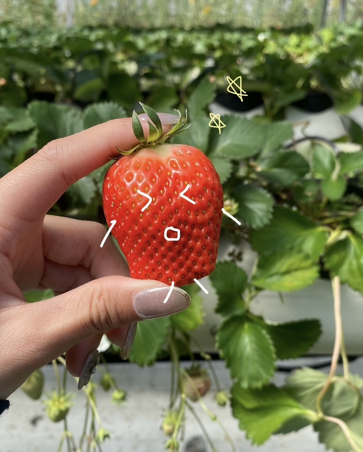 【公式】アスキム株式会社＠広報部 tweet media