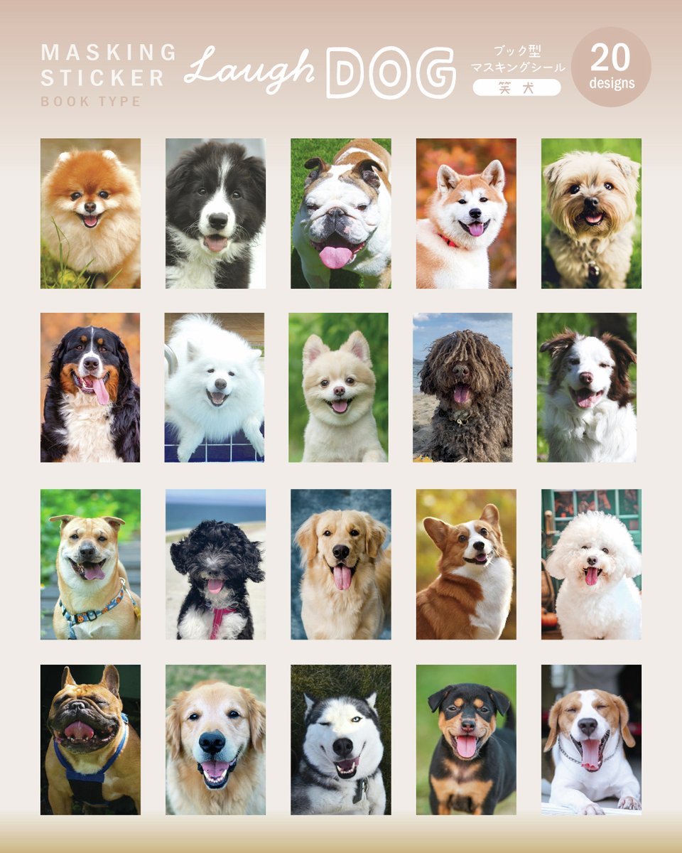 株式会社ハピラ tweet media