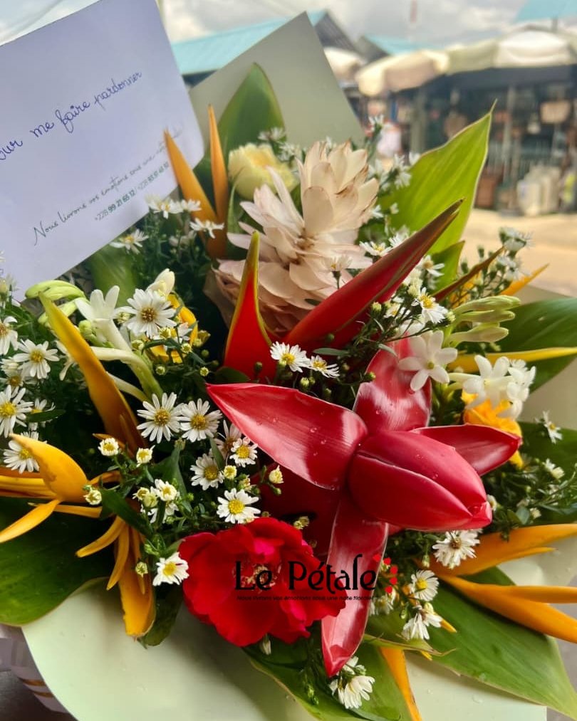 Le pétale🌹 tweet media