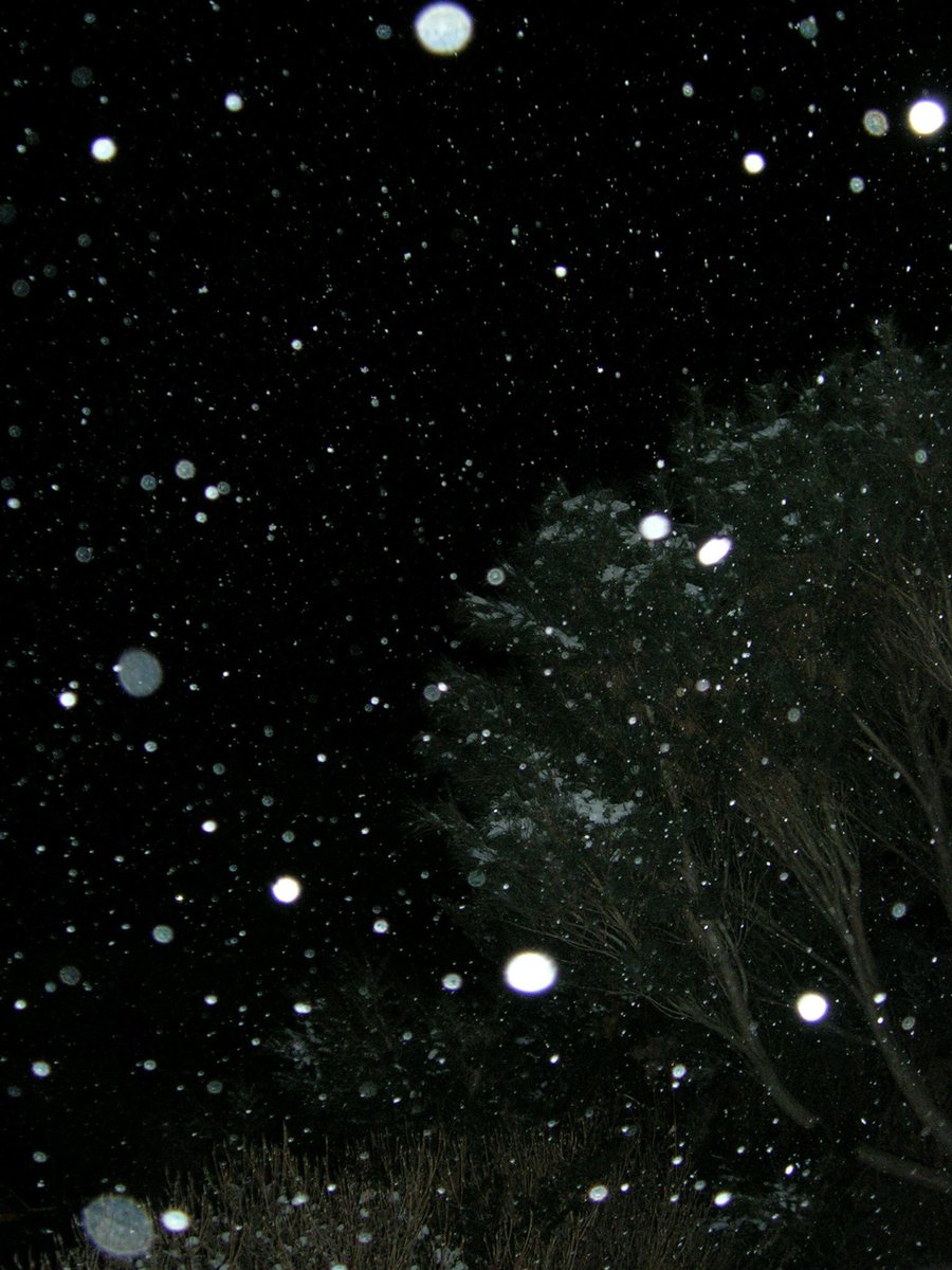 이사벨 tweet media