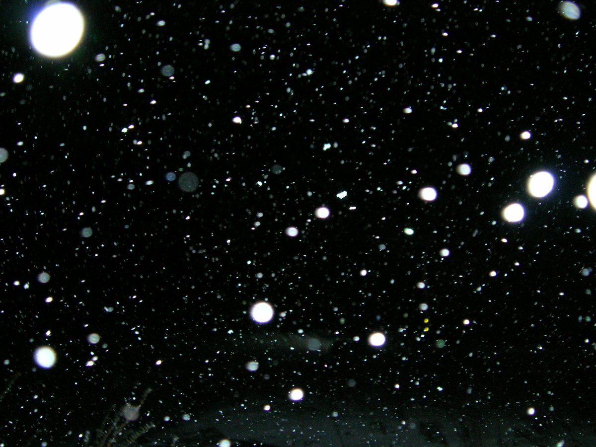 이사벨 tweet media