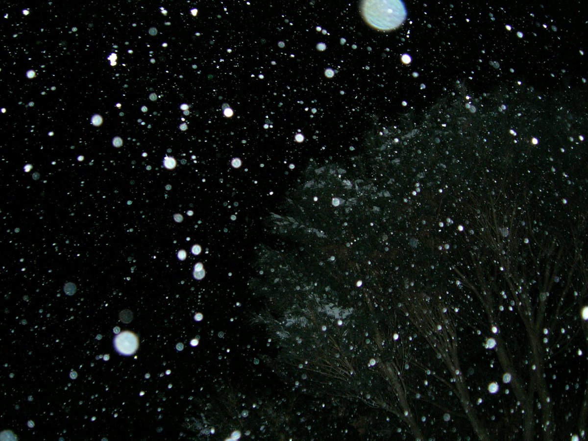 이사벨 tweet media