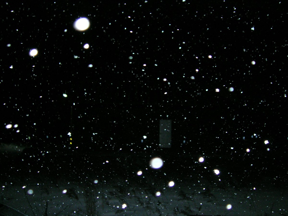 이사벨 tweet media