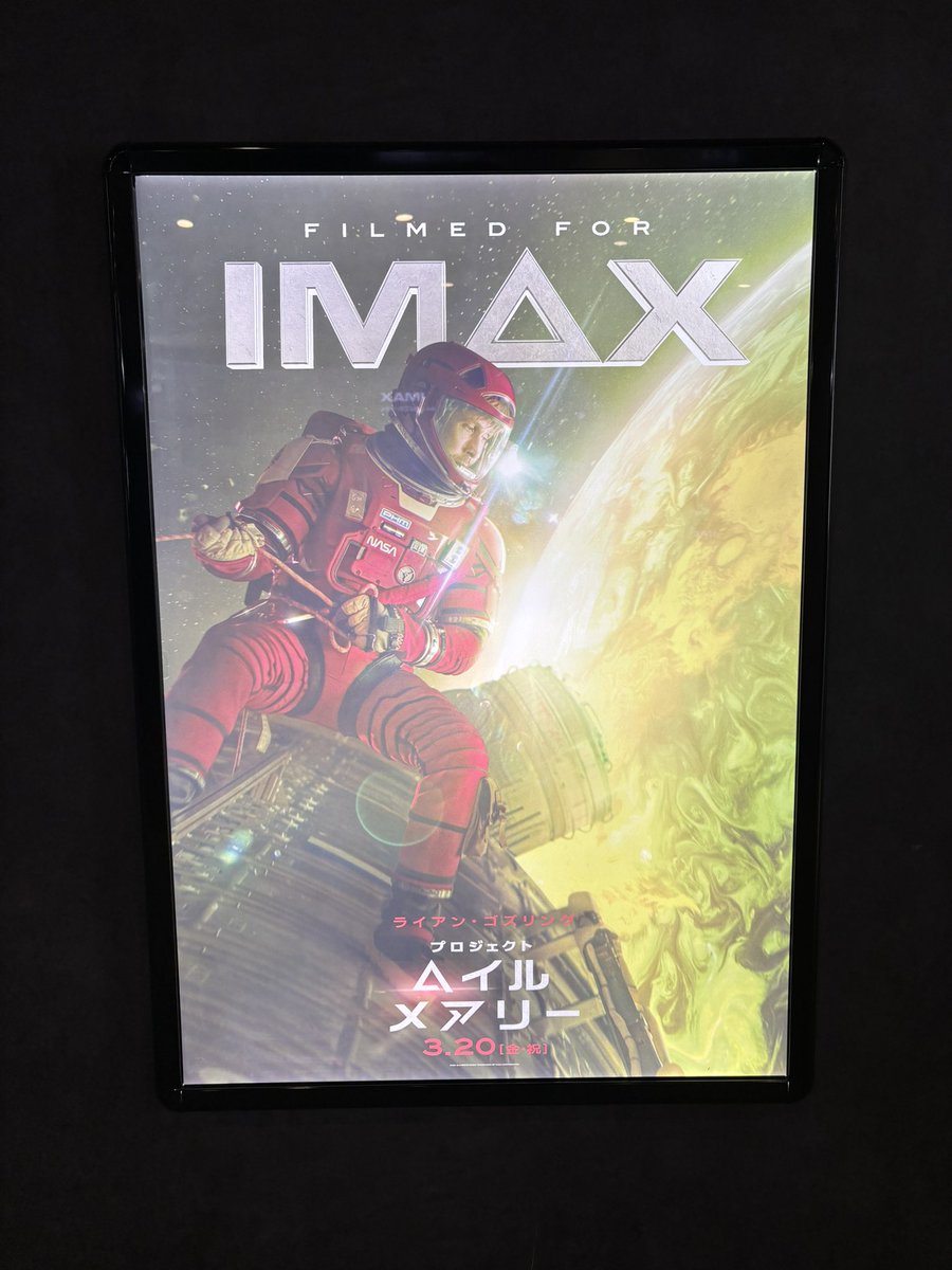 まち(まちかす) tweet media