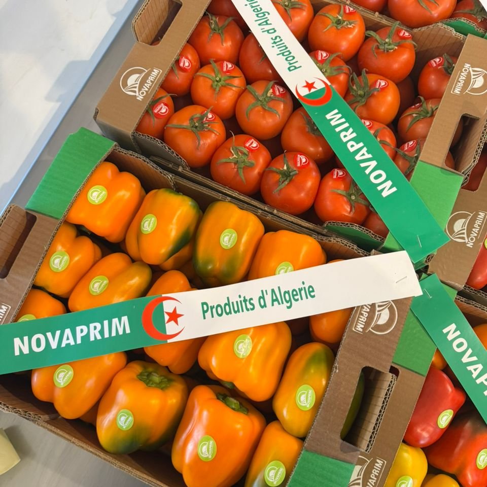 Wiicoin™ 🇩🇿 tweet media