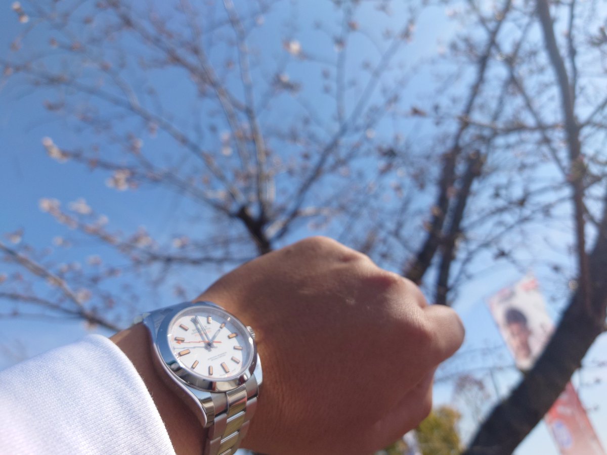 bibayuka's tweet photo. 昨日よりも開花が進んでる😁
#f1jp
#鈴鹿サーキット
#本日の観客動員75000人
#まだ金曜日 https://t.co/z7h5G6BSH7