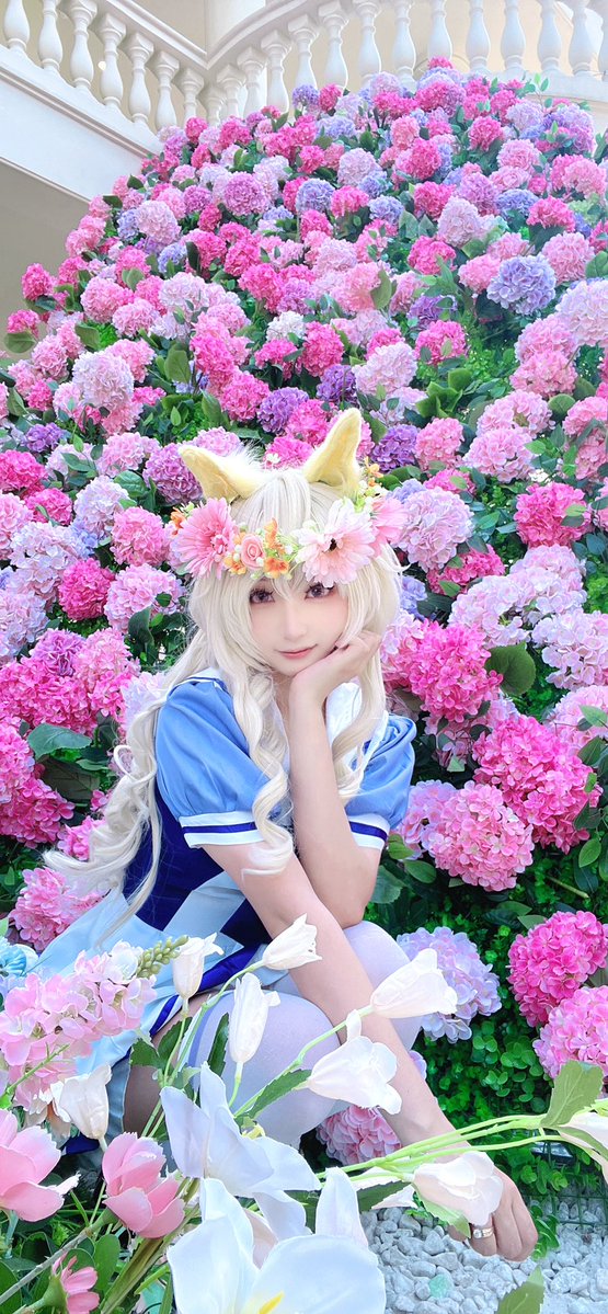 🌸 Smol LATTE 🍃☕️ tweet media